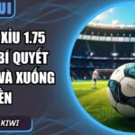 kèo tài xỉu 1.75 6686